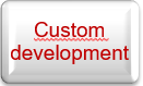Egyedi fejlesztés
